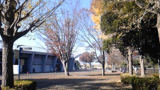 散歩にはちょうどよい