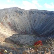 秋の紅葉がすごい