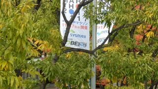 今年も神戸マラソン開催された