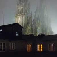 夜霧に霞む大聖堂を客室から眺める