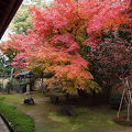 静かに紅葉が楽しめます。