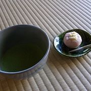 素敵なお庭を見ながらお抹茶をいただけます