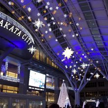 クリスマスの時期にはライトアップされます！