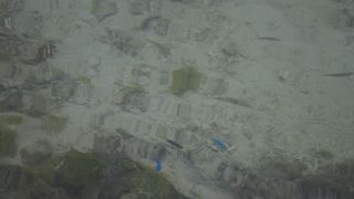 竹富島で泳ぐならここ！