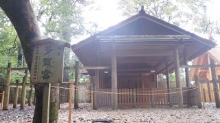 意外に混雑してます