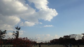 京都水族館や機関車館もあります!!