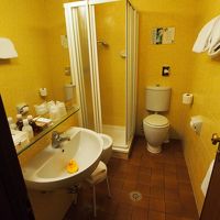 アヒルちゃんがいました