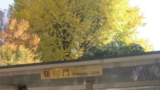 大都会にある広い憩える公園。