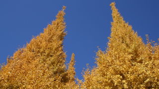 人混みいっぱいでした。