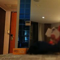 部屋が暗い…のを伝えたい写真(壁は鏡張りで広い感じ)