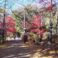 高尾山ハイキングコース