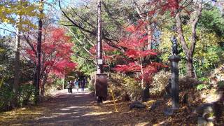 高尾山ハイキングコース