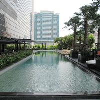 ランチビュッフェが食べれます