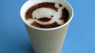 かわいいシロイルカラテ。