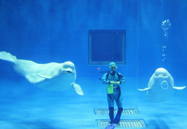 バブルリング。