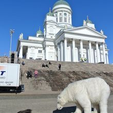 こんな珍しい光景にも出会えるかも!?