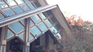 紅葉の綺麗な都会のオアシスです!!