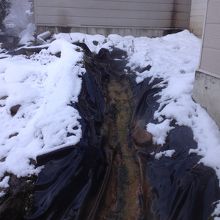 かけ流された温泉が川のように敷地内を流れ・・・