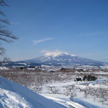 遠目には岩木山が見えました。