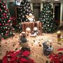 ロビーのクリスマスの飾りつけは最高です。