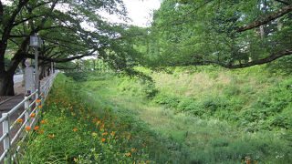 水戸城跡の公園。