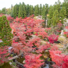 観月橋の上から紅葉谷