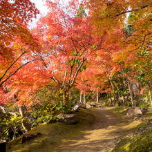 紅葉谷