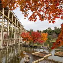 観月橋