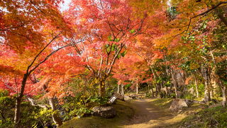 水景園に紅葉を見に行ってきました。