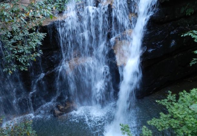 『扇滝』◆県道沿いにあるお手軽滝です