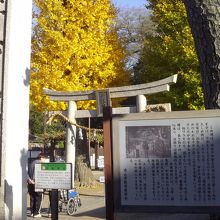 赤城神社の標柱と、大しめ縄行事の解説板