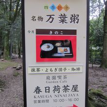 今月は「きのこ」