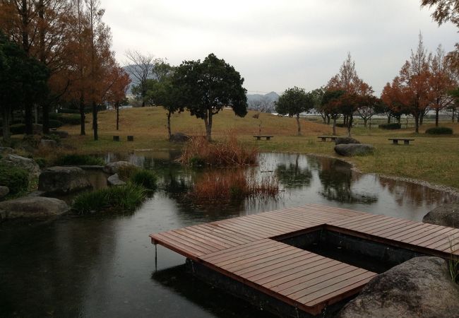 西部運動公園  橋本・福岡