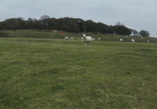 丘の上の古代遺跡