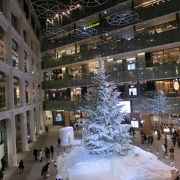 クリスマスイルミネーション☆高さ14.5mのツリー