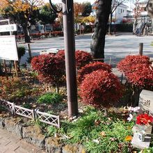 道祖神に花が・・