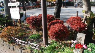 単なる街中の地域の公園