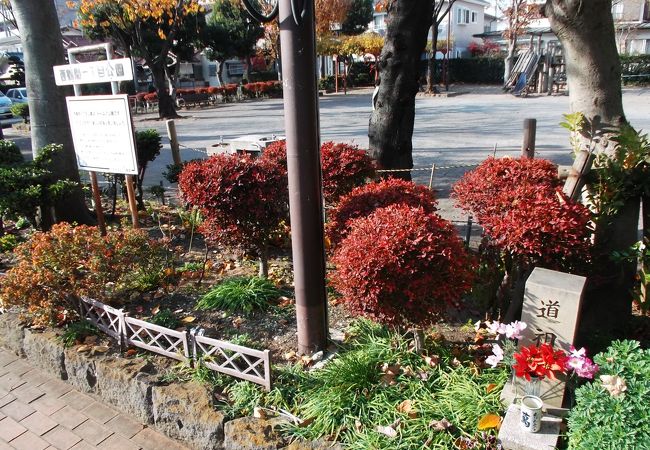 単なる街中の地域の公園