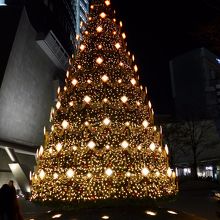 時間とともに彩が変わっていくクリスマスツリー