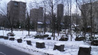 雪が積もって冬らしくなっていた