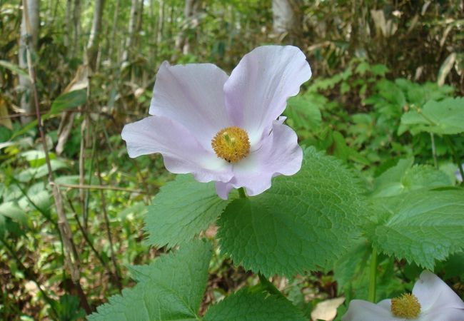 山登りの装備で