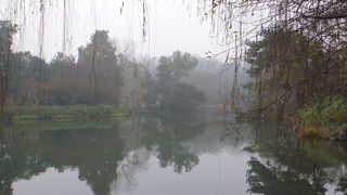 特別美しくはない