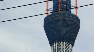 現在からの姿からは想像出来ませんが!!