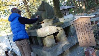 なで鹿（神鹿）