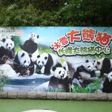 中国ではやはりパンダが主流です。