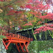 妖艶な紅の世界 横蔵寺 