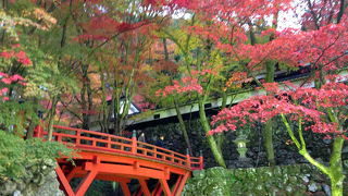 妖艶な紅の世界 横蔵寺 