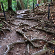 この辺りはこんな道が続きます。