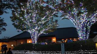 イルミネーション