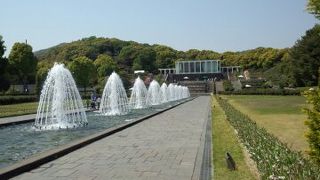 キッチリ整備されています。